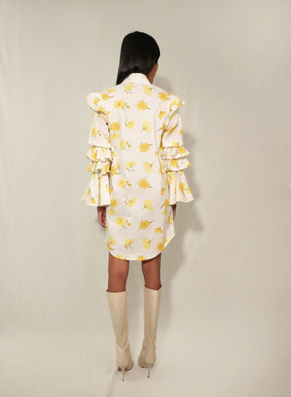 The Lulo Project Night Owl Dress