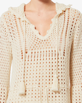 Isabel Marant Zelnie Dress