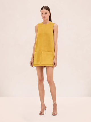 Alexis Dakota Dress