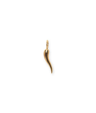 Lizzie Fortunato 14K Gold Cornicello Necklace Charm