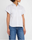Light Chambray Multi