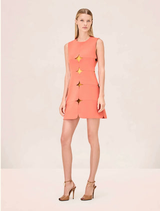 Alexis Winnie Dress