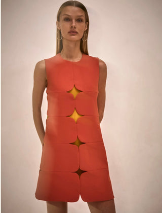 Alexis Winnie Dress