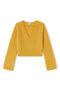 Blazing Yellow