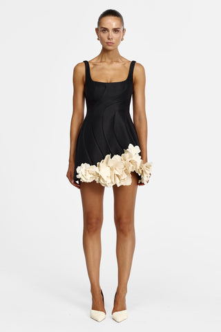 Acler Winchester Dress