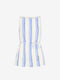 Blue Stripe