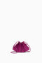 Orchid