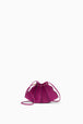 Orchid