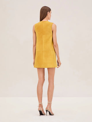 Alexis Dakota Dress